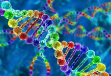 New genetic links for heart disease risk factors identified
