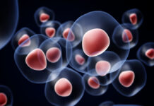 Cell & Gene Therapy UK, 2015 investment over £400m at year end v £35m in 2012