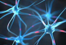 Human Cell Atlas: Strategic blueprint and data from first million cells announced