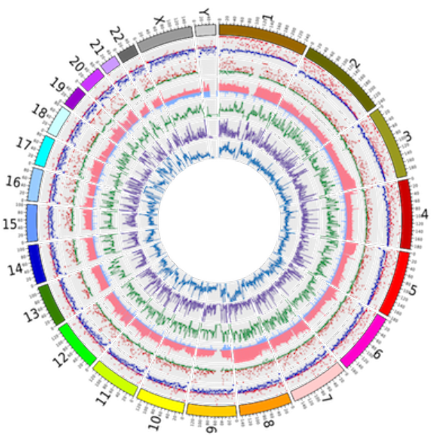 genome_mutations.width-1000-2