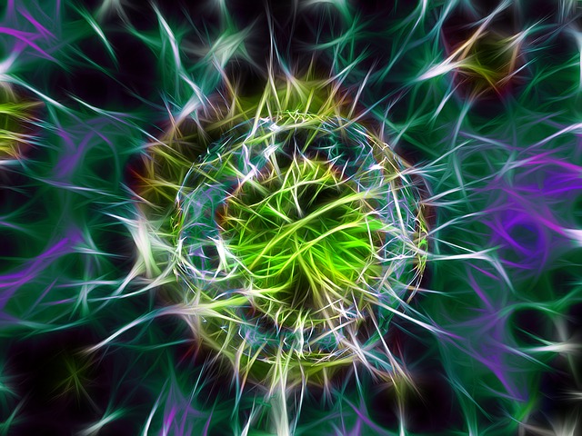 bacteria-1477522_640