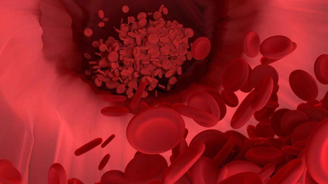 red-blood-cell-4302093_1280
