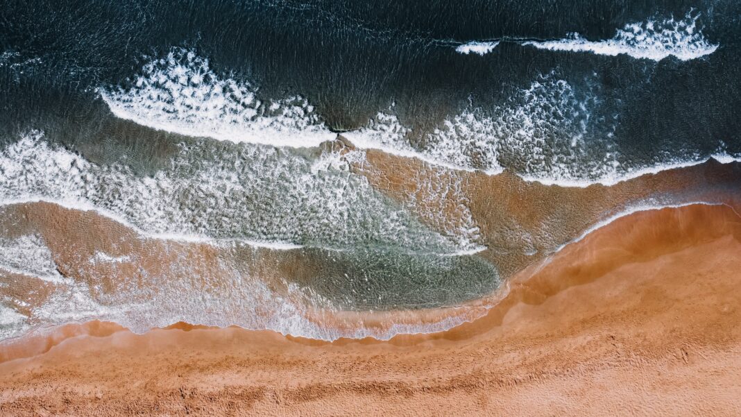 bak-david-BiDdANka6F0-unsplash